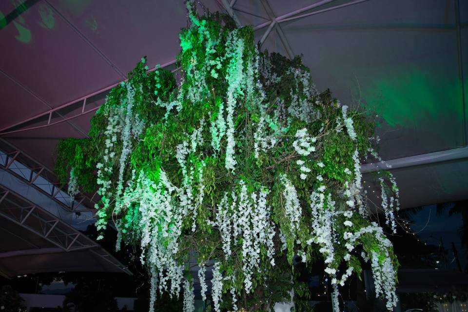 Árboles en el techo