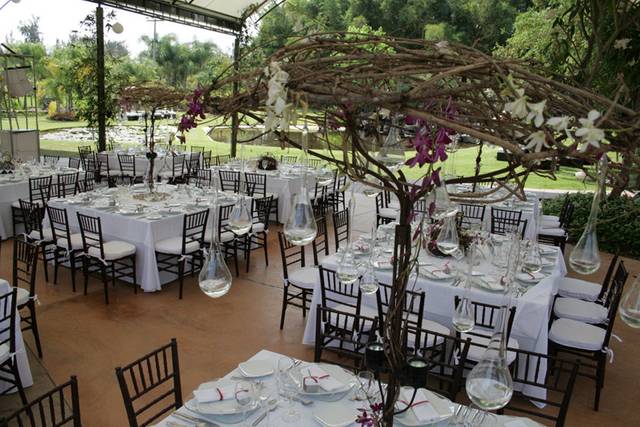 Carpas y toldos para eventos