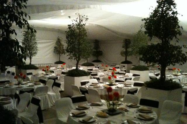 Carpas para bodas