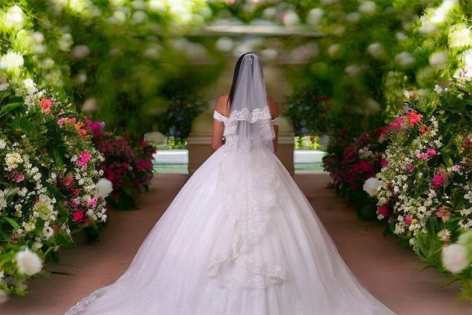 ARNovias