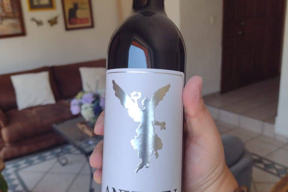 Catálogo-anxelin shiraz