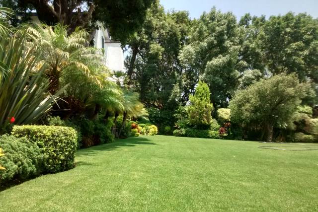Jardín