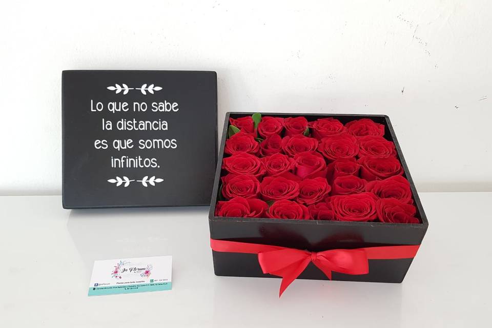 In Florum - Consulta disponibilidad y precios