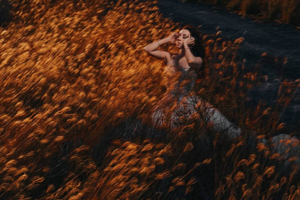 Trash the dress