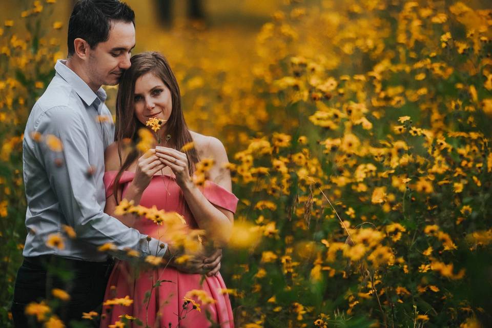 Novios