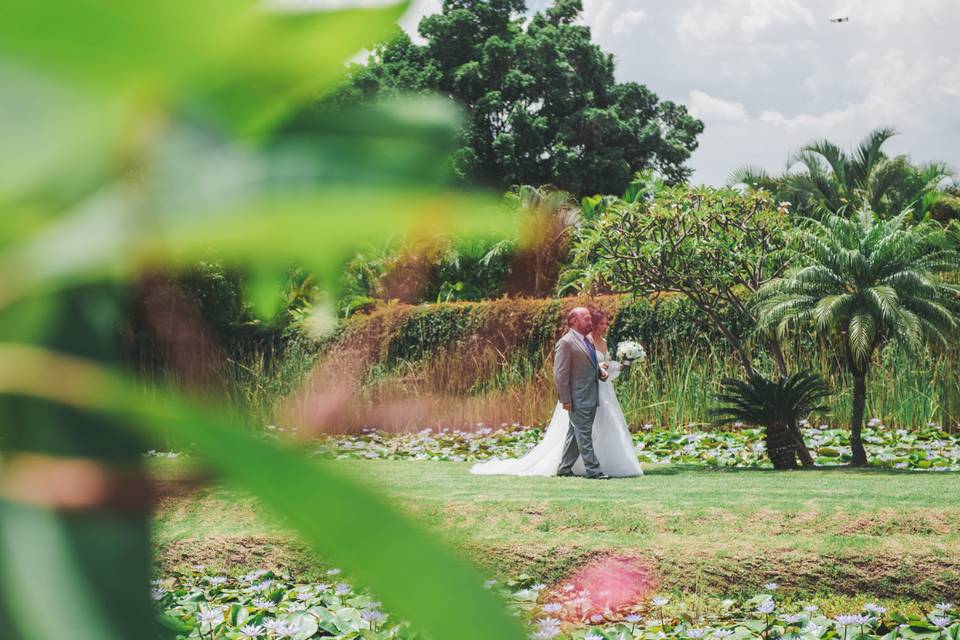 Jardín Santa Bárbara lagos