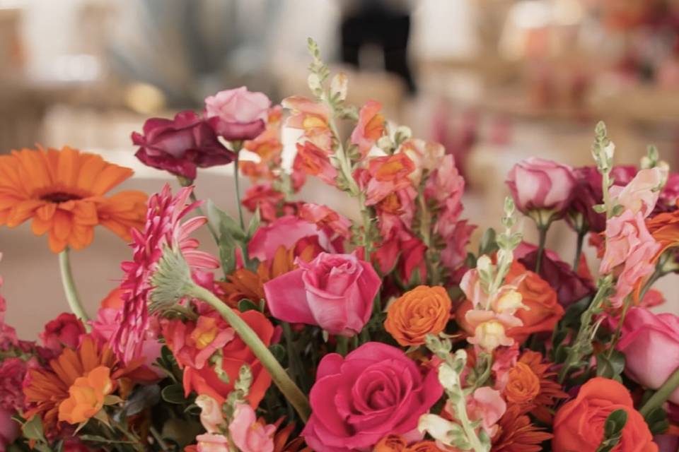 Orange roses