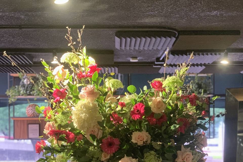 Xv años