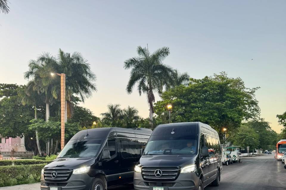 Camionestas Premium