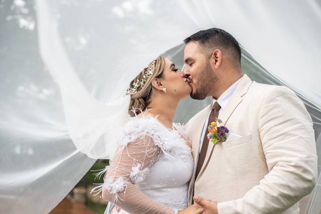 Novios besándose bajo el velo de novia