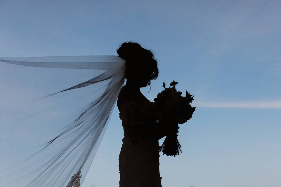 The beautiful bride