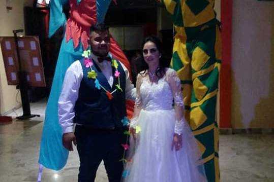Novios