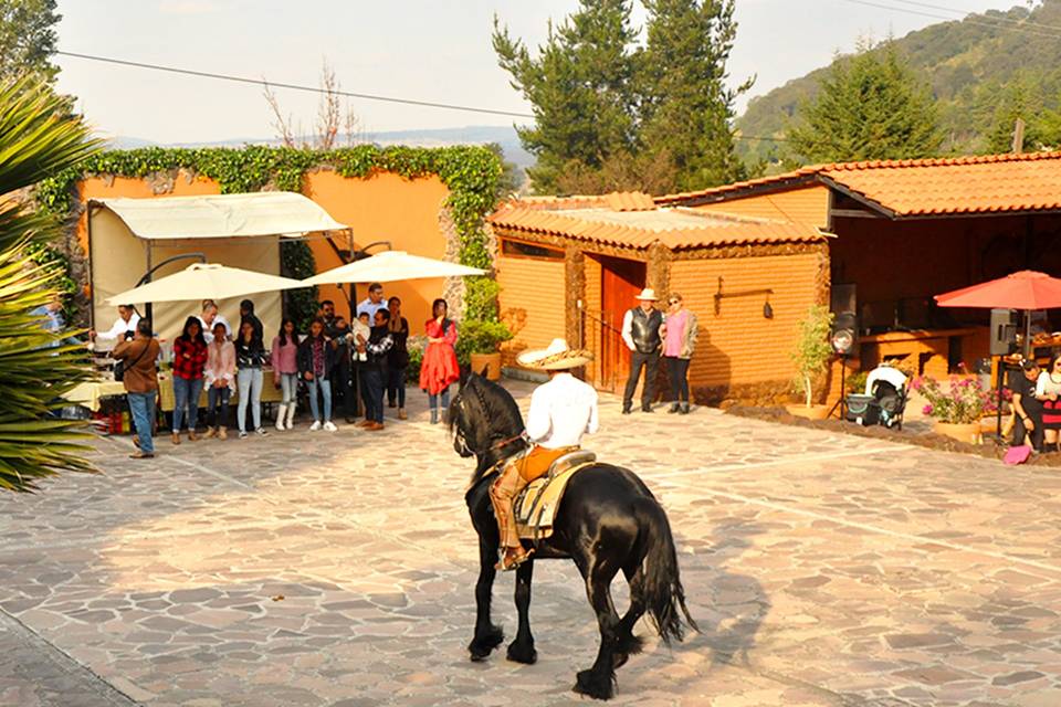 Finca La Conchita