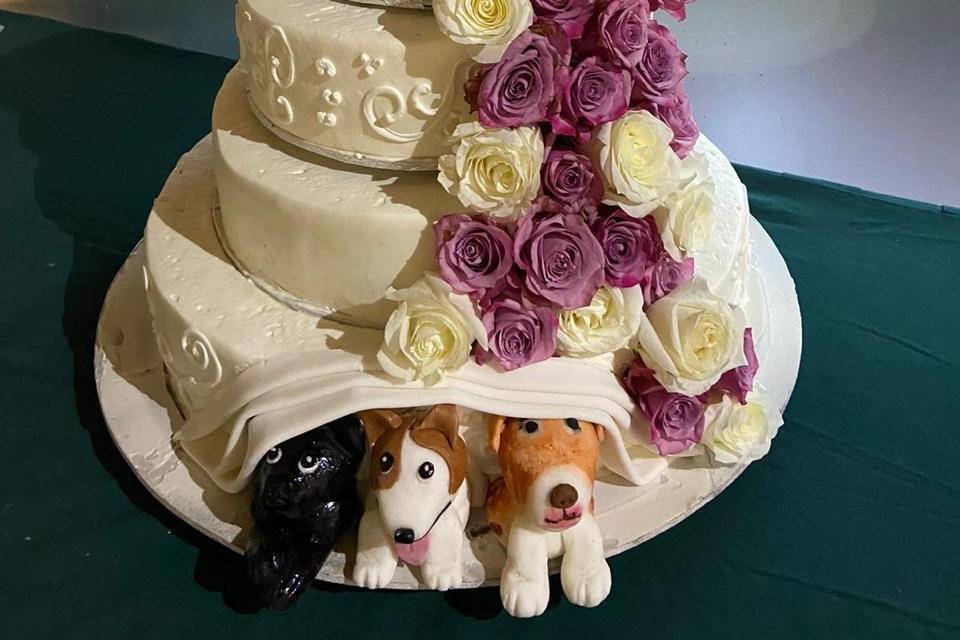 Pasteles con rosas blancas