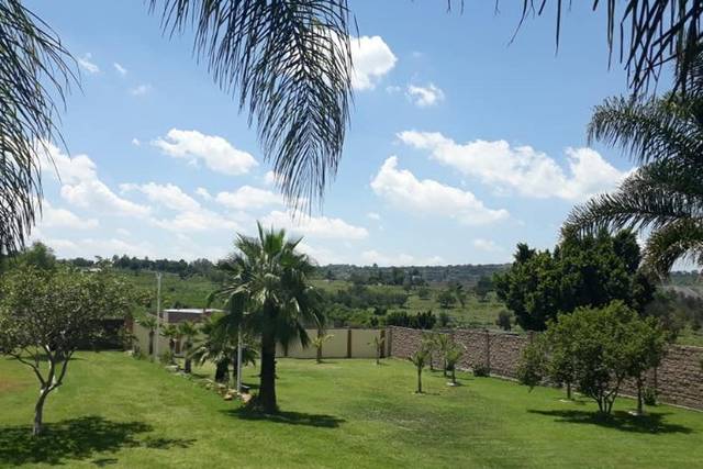 Centenario Terraza Eventos