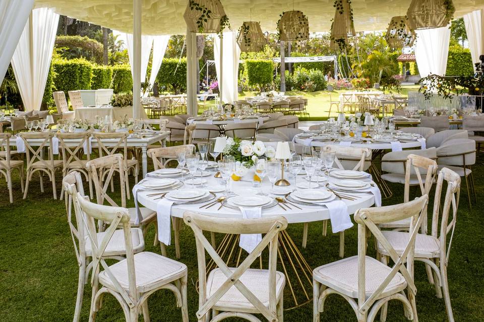 Boda
