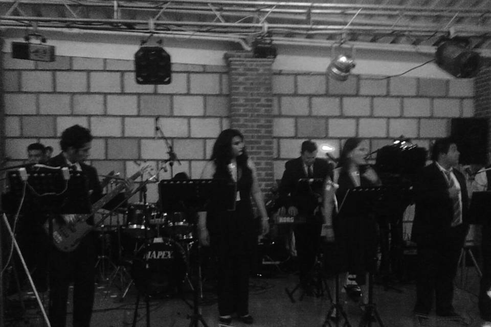 Grupo Bambole Music Band