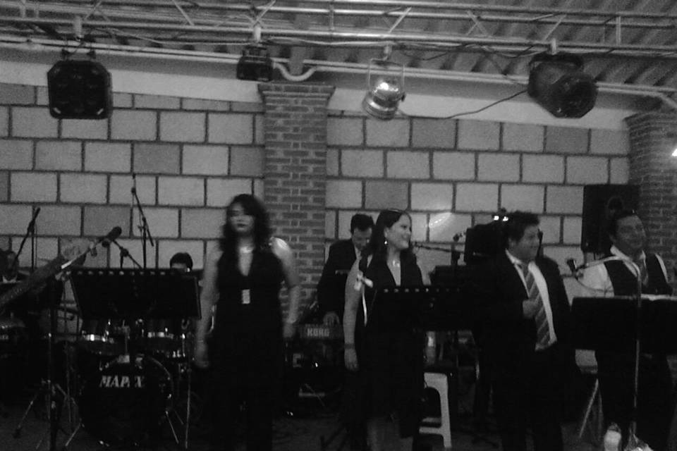 Grupo Bambole Music Band