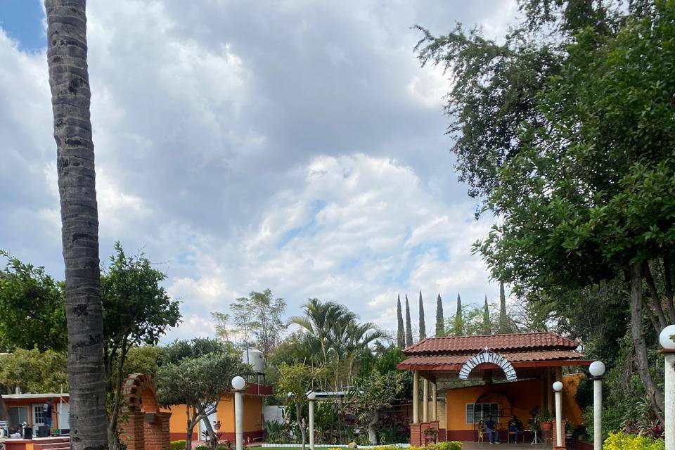 Jardín verde
