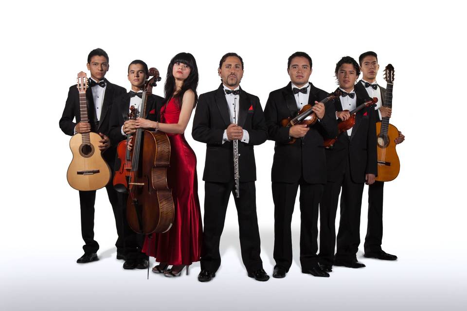 Flauta, violines, viola y chelo