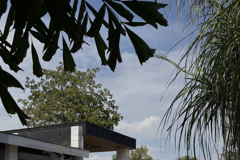 Alberca