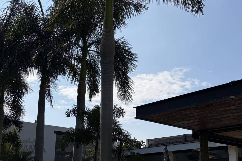Vista lateral