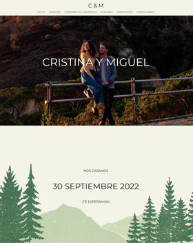 Diseño Vintage Mountain