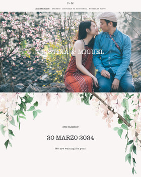 Diseño Romantic Wisteria